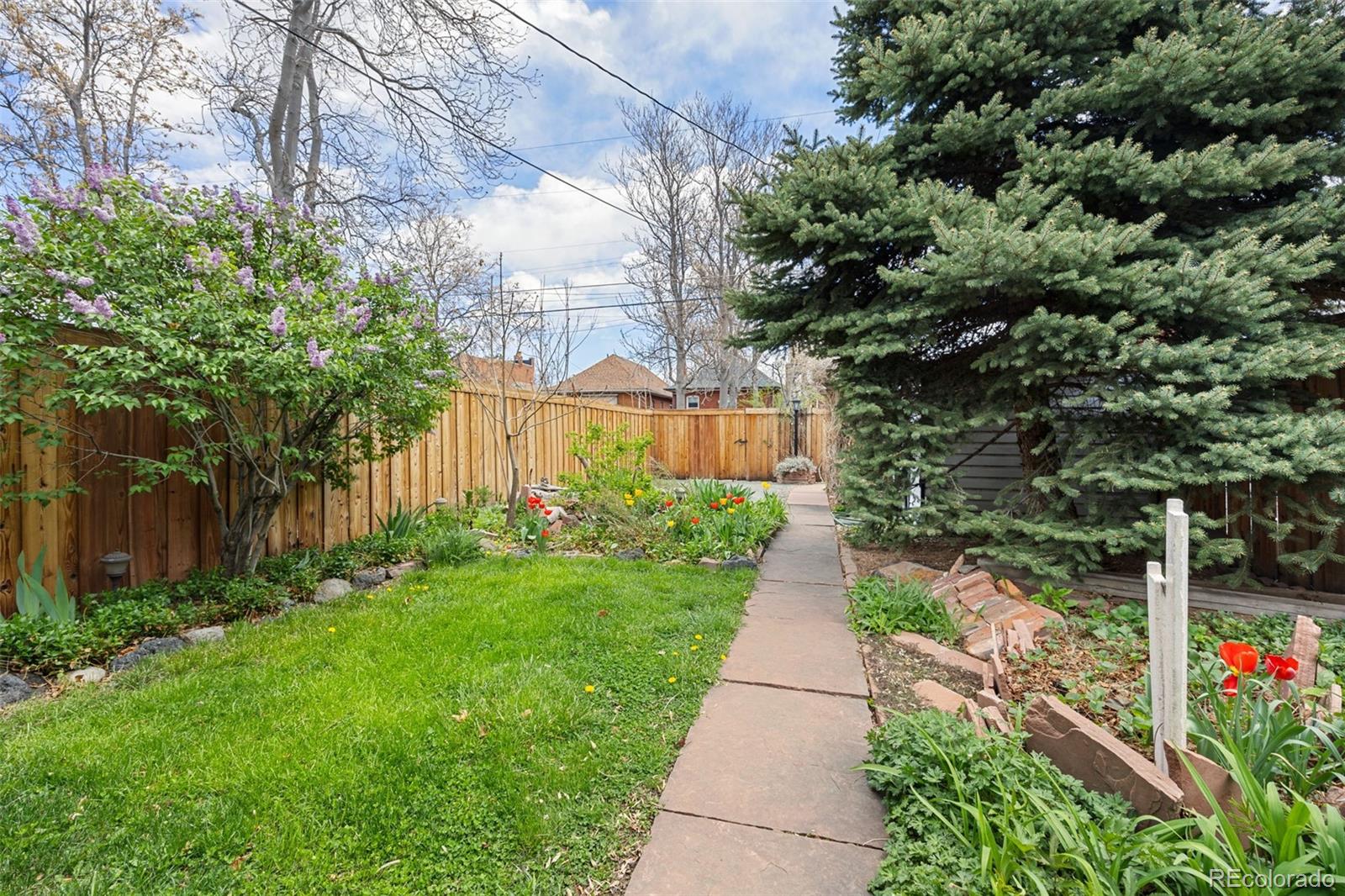 MLS Image #36 for 2514 n humboldt street,denver, Colorado