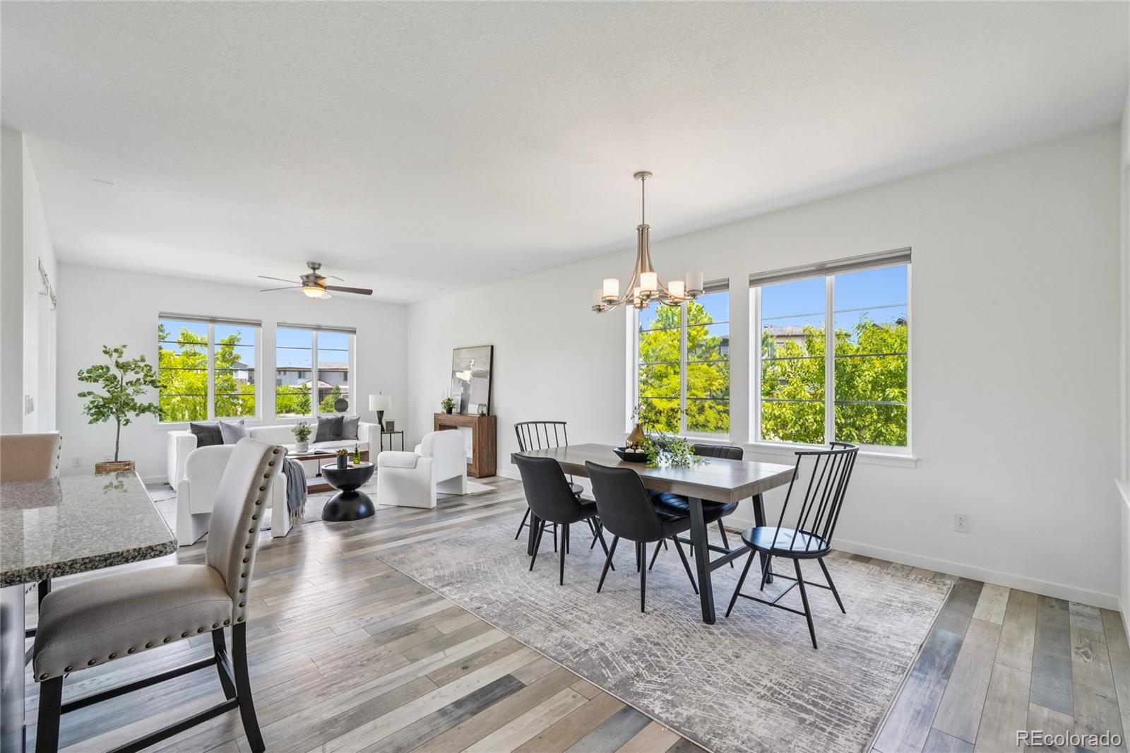 MLS Image #5 for 198  starlight circle,erie, Colorado