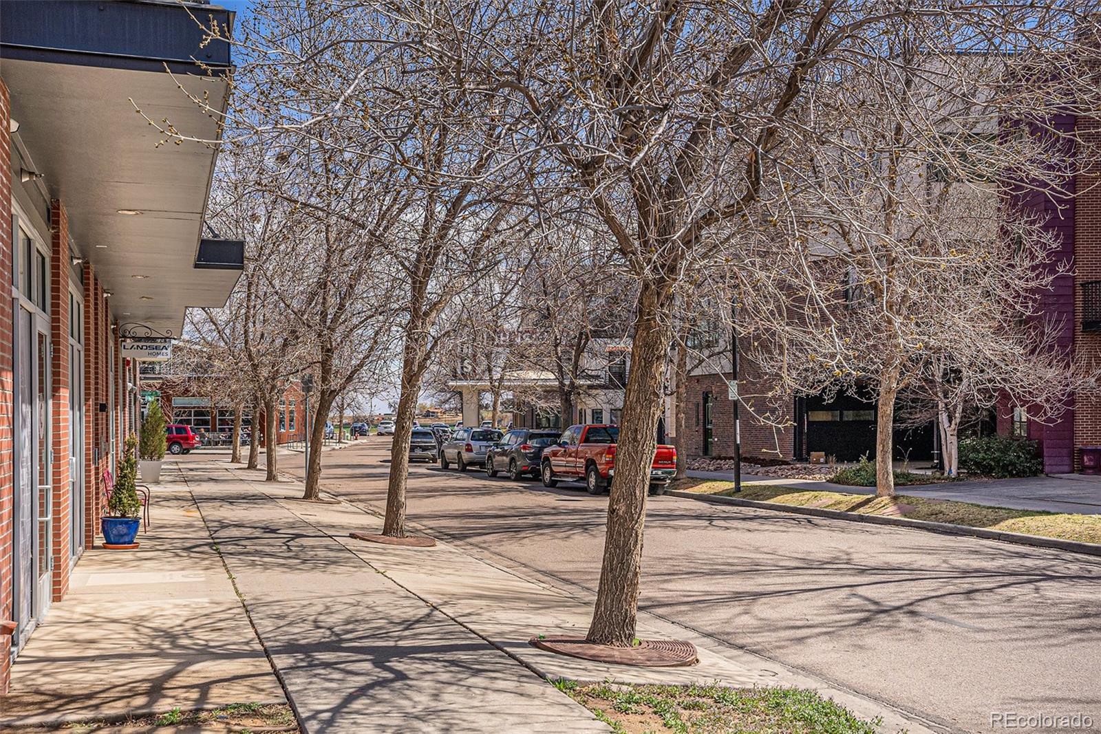 MLS Image #19 for 1529  ashcroft drive,longmont, Colorado