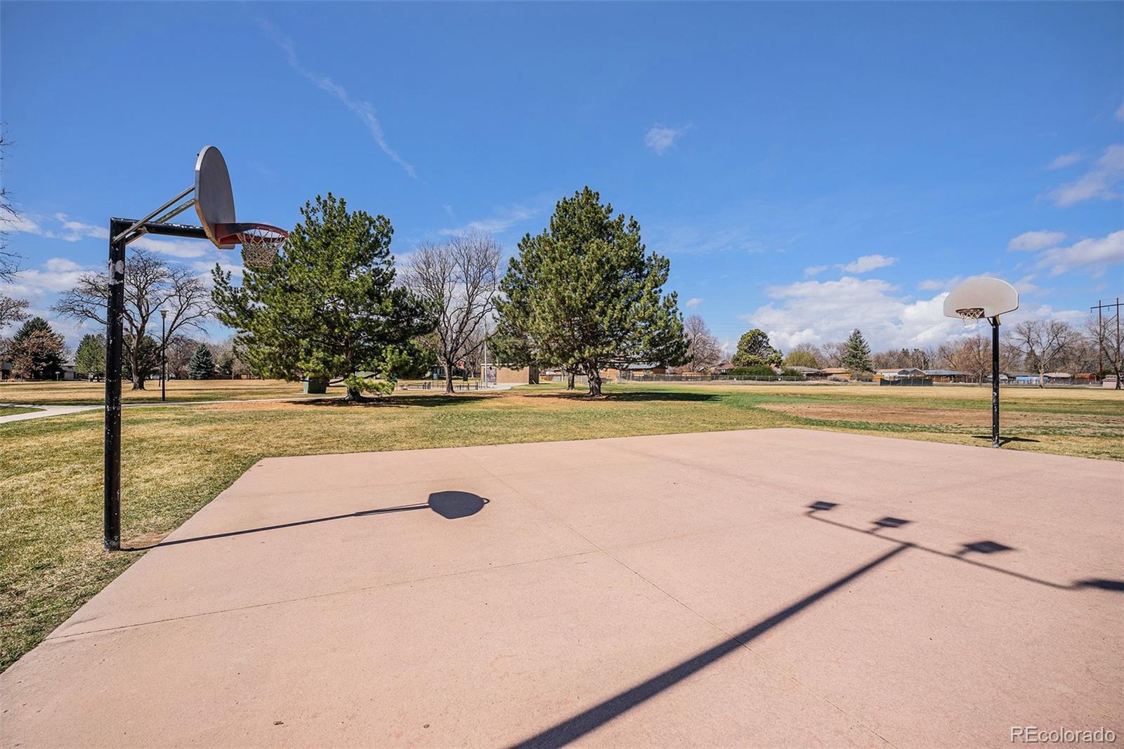 MLS Image #22 for 1529  ashcroft drive,longmont, Colorado