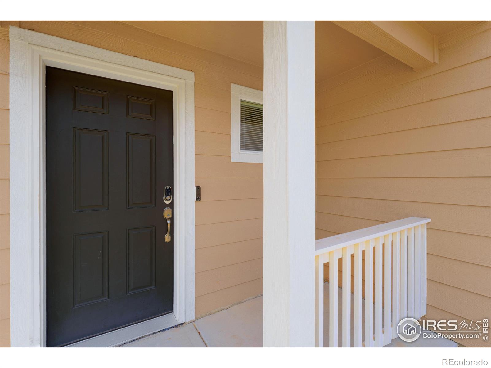 MLS Image #3 for 3865  falconry drive,colorado springs, Colorado