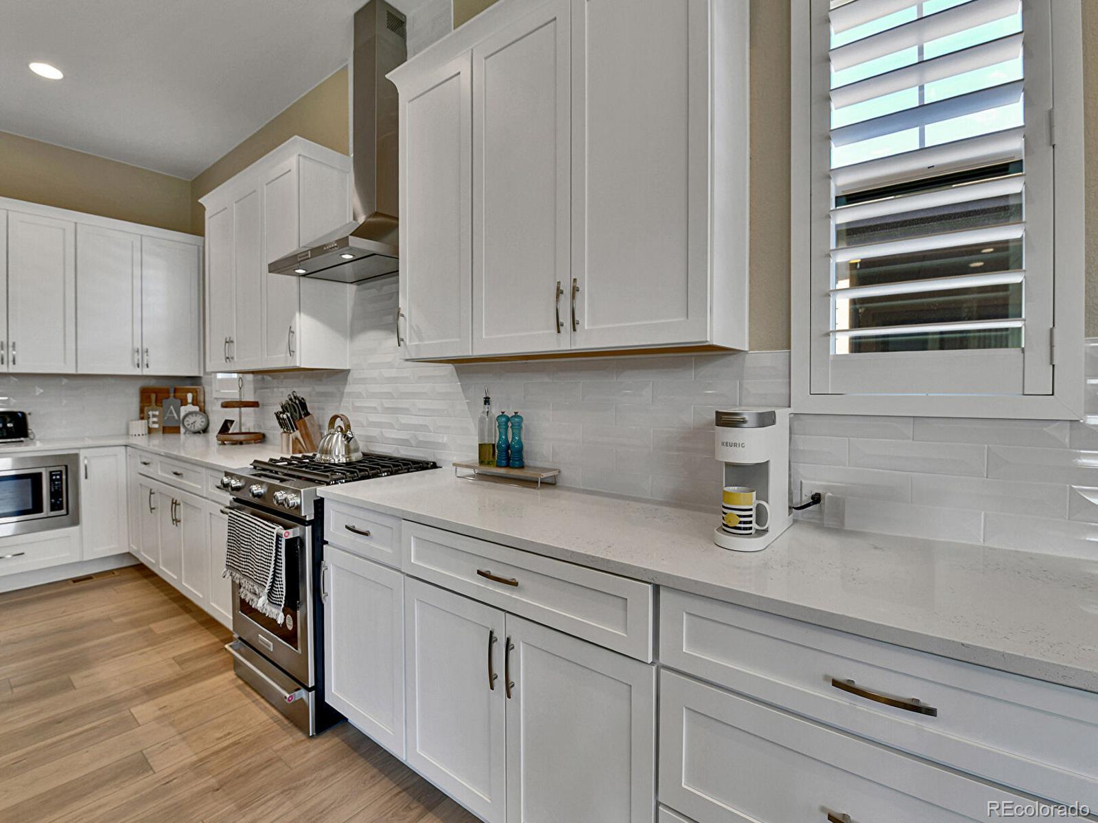 MLS Image #14 for 11464  stonewash street,littleton, Colorado