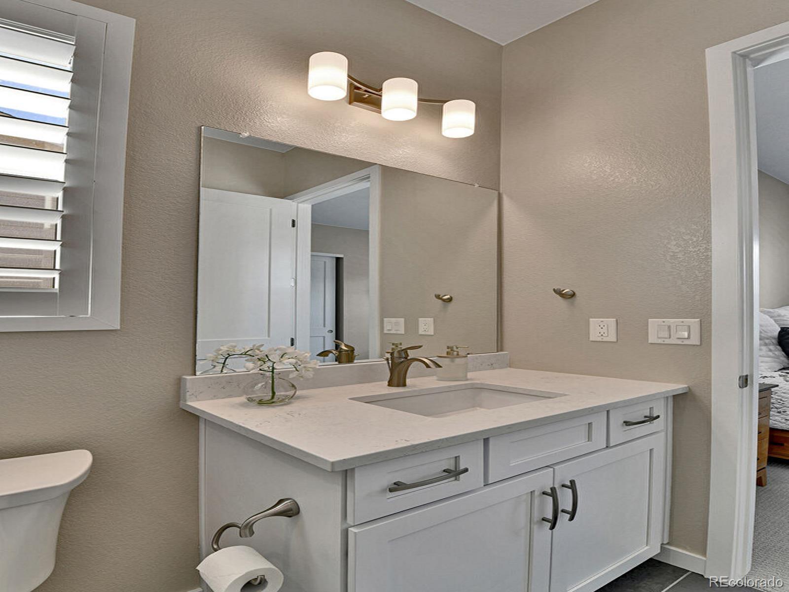 MLS Image #7 for 11464  stonewash street,littleton, Colorado