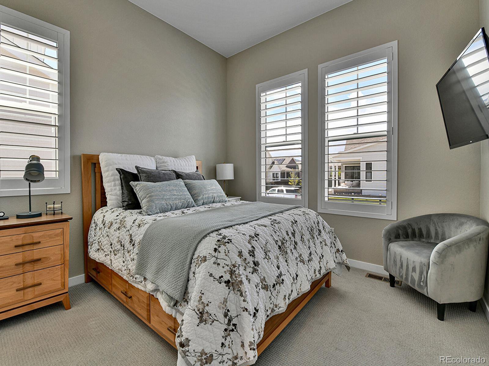 MLS Image #8 for 11464  stonewash street,littleton, Colorado
