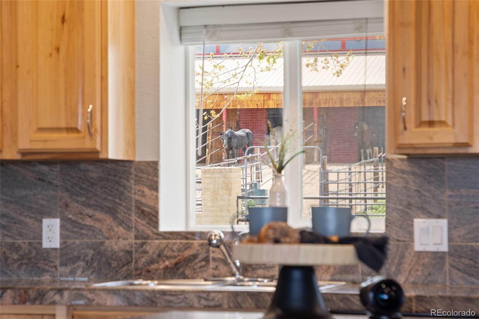MLS Image #3 for 4972  easley road,golden, Colorado