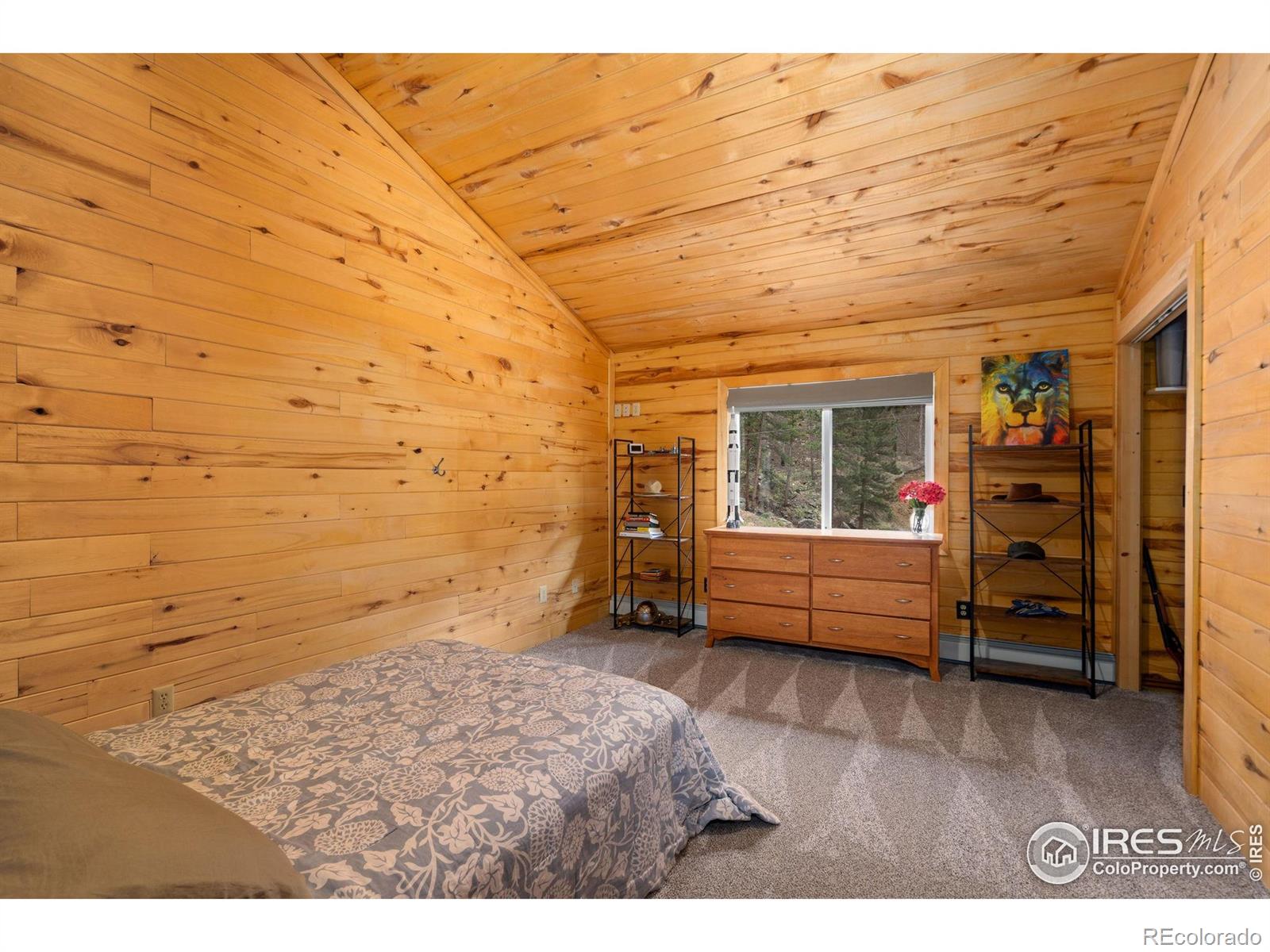 MLS Image #12 for 264  running river way,bellvue, Colorado