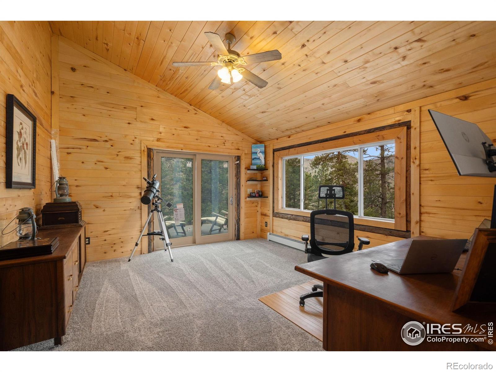 MLS Image #13 for 264  running river way,bellvue, Colorado