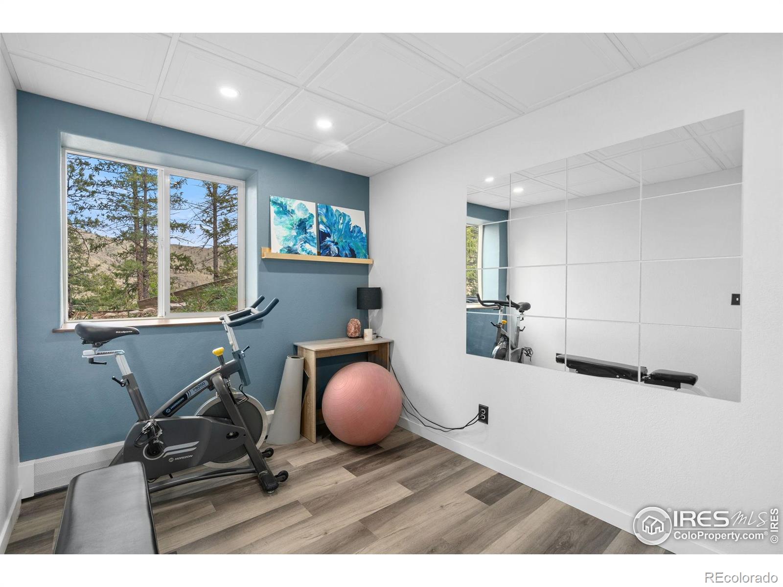 MLS Image #18 for 264  running river way,bellvue, Colorado