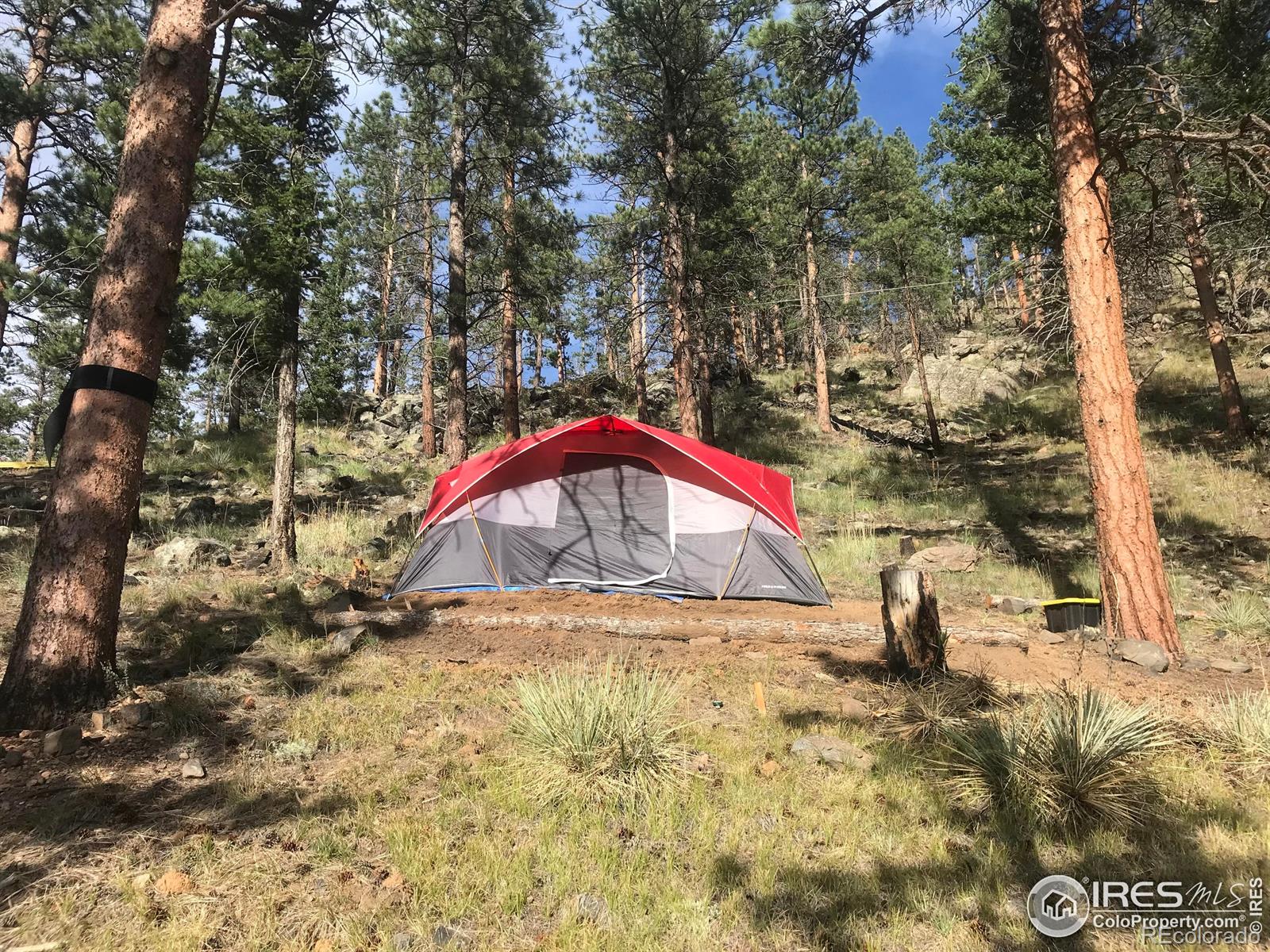 MLS Image #27 for 264  running river way,bellvue, Colorado
