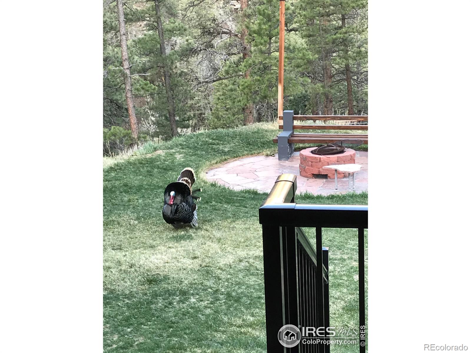 MLS Image #37 for 264  running river way,bellvue, Colorado