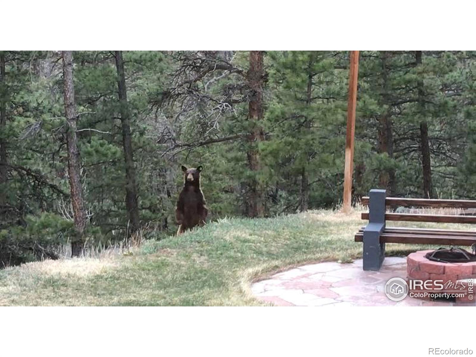 MLS Image #4 for 264  running river way,bellvue, Colorado