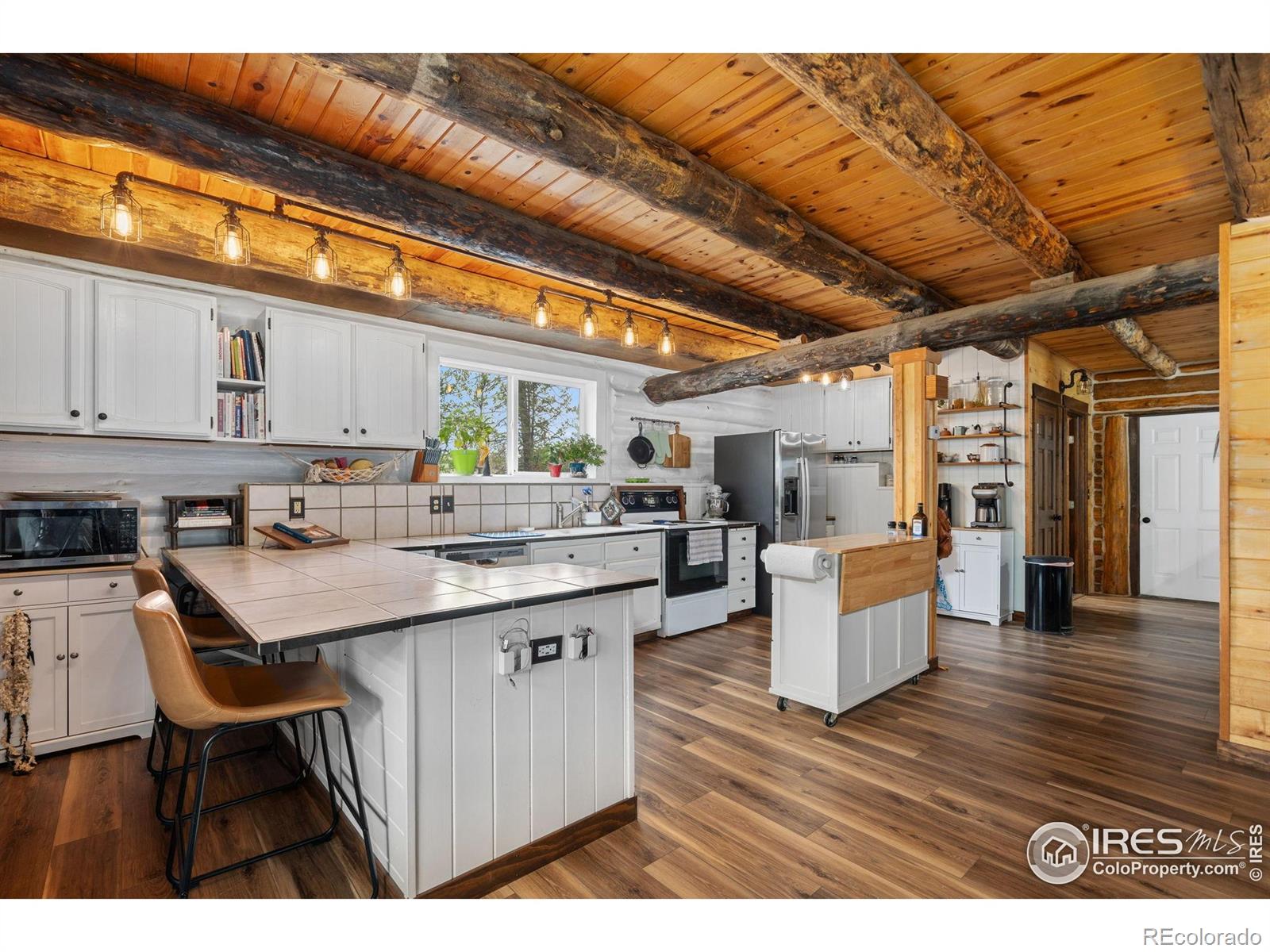 MLS Image #5 for 264  running river way,bellvue, Colorado