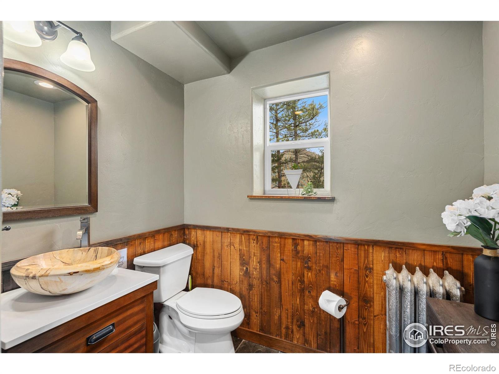 MLS Image #7 for 264  running river way,bellvue, Colorado