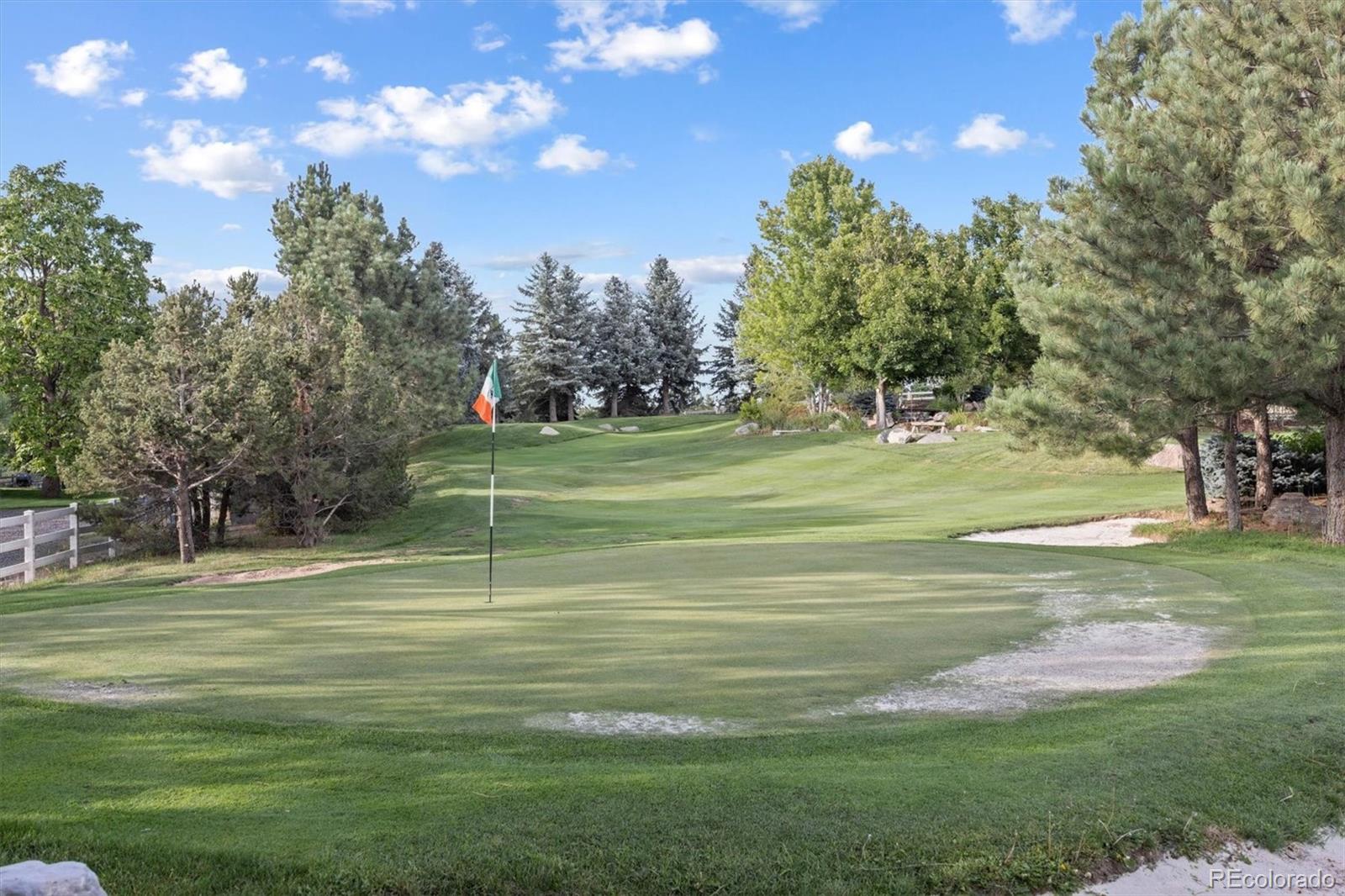 MLS Image #2 for 10145  meadow run,parker, Colorado