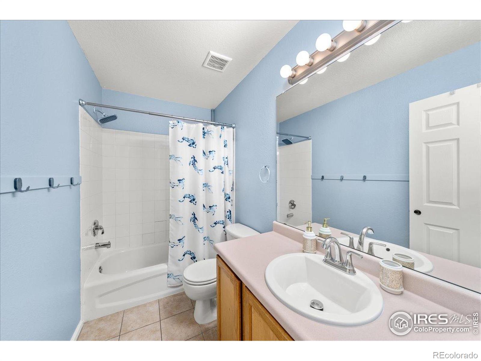 MLS Image #19 for 21562 e 47th avenue,denver, Colorado