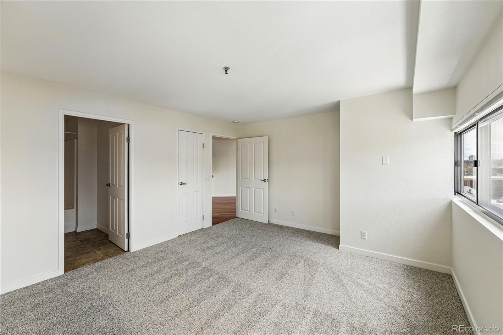 MLS Image #12 for 100  park avenue,denver, Colorado
