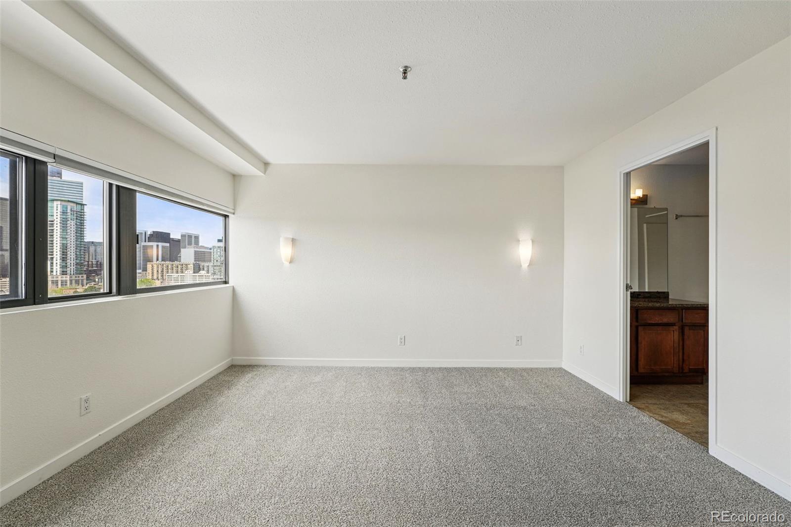 MLS Image #13 for 100  park avenue,denver, Colorado
