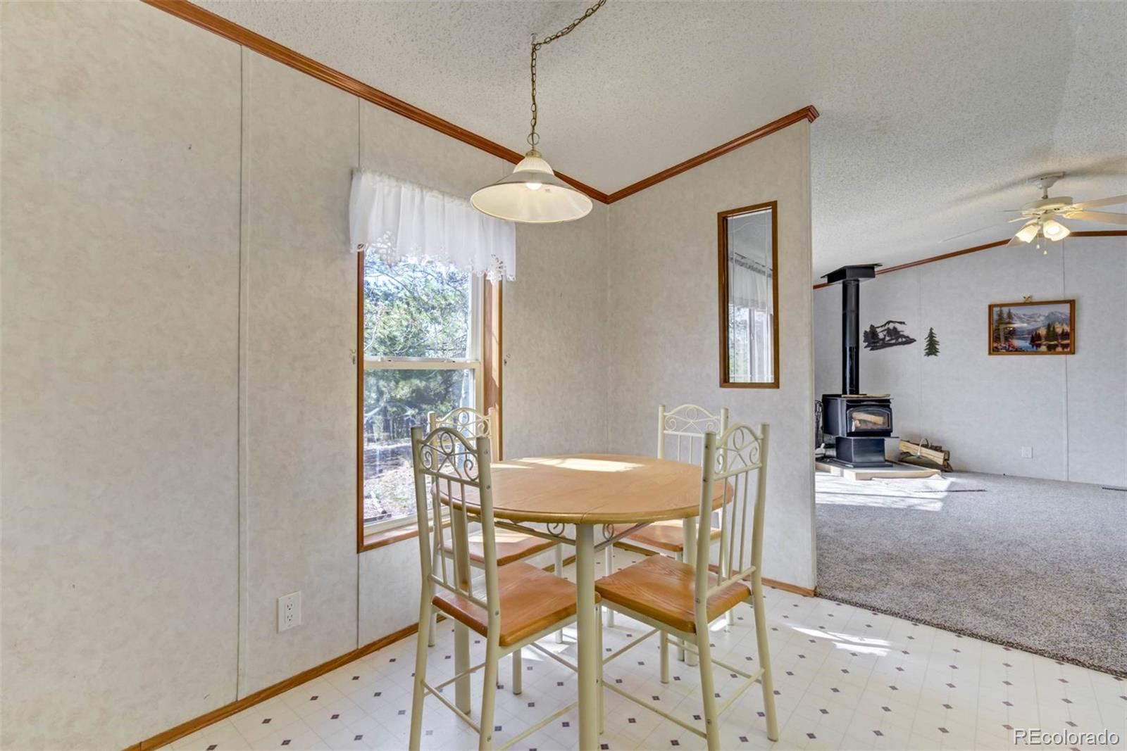 MLS Image #15 for 1360  kiowa road,florissant, Colorado