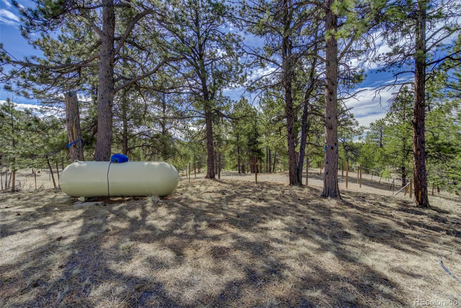 MLS Image #31 for 1360  kiowa road,florissant, Colorado
