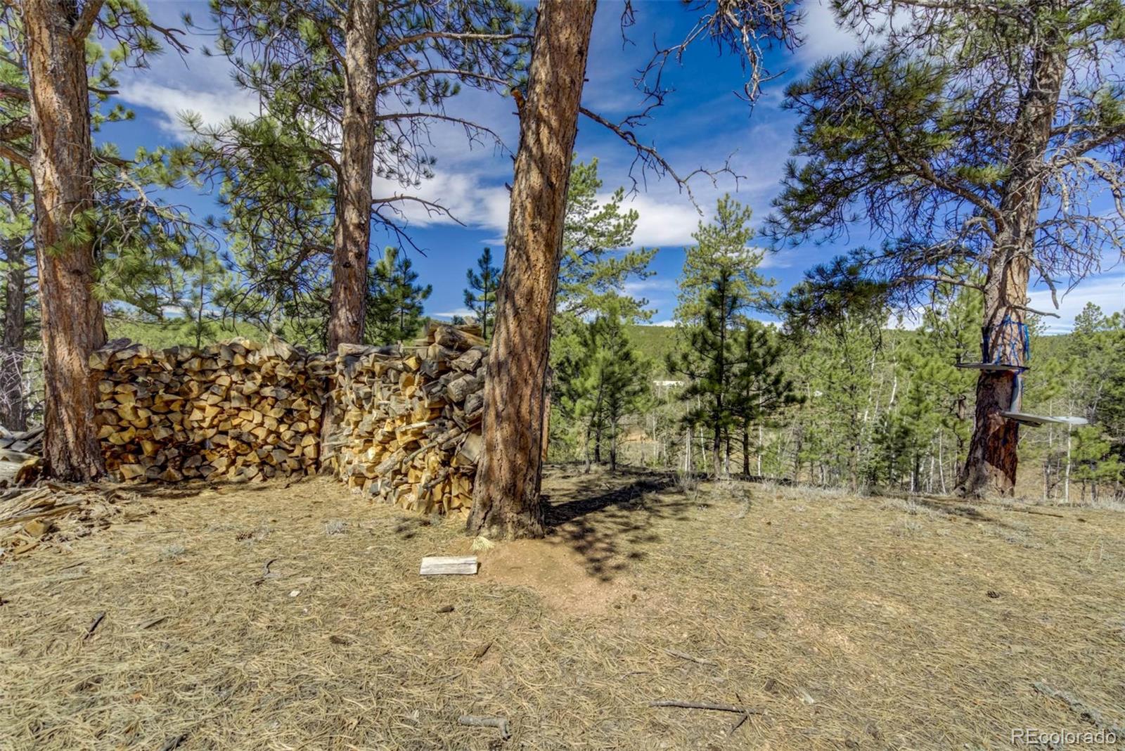 MLS Image #32 for 1360  kiowa road,florissant, Colorado