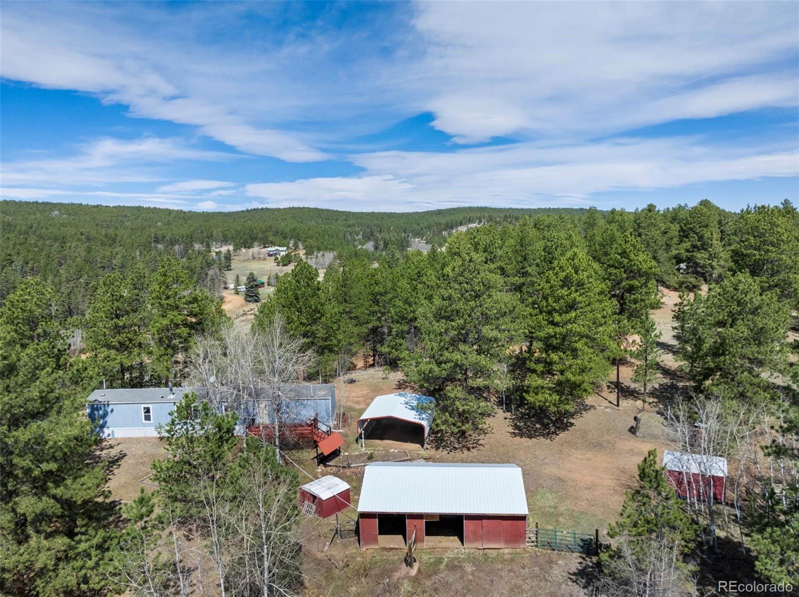 MLS Image #4 for 1360  kiowa road,florissant, Colorado
