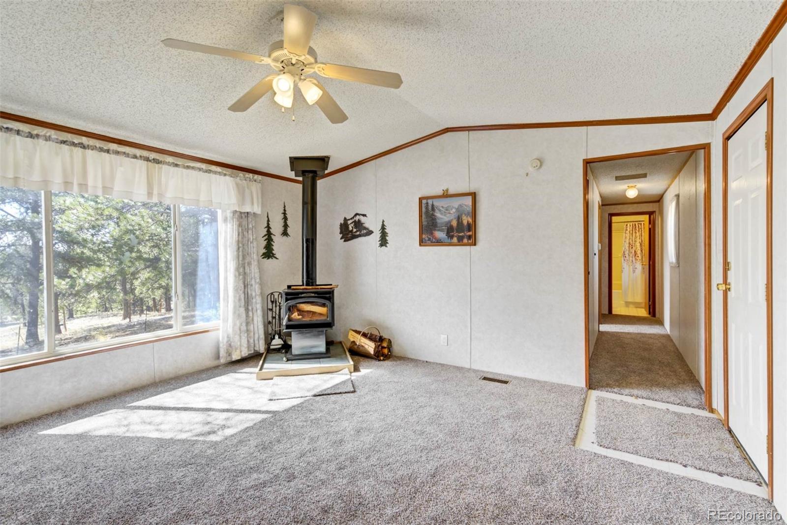 MLS Image #6 for 1360  kiowa road,florissant, Colorado