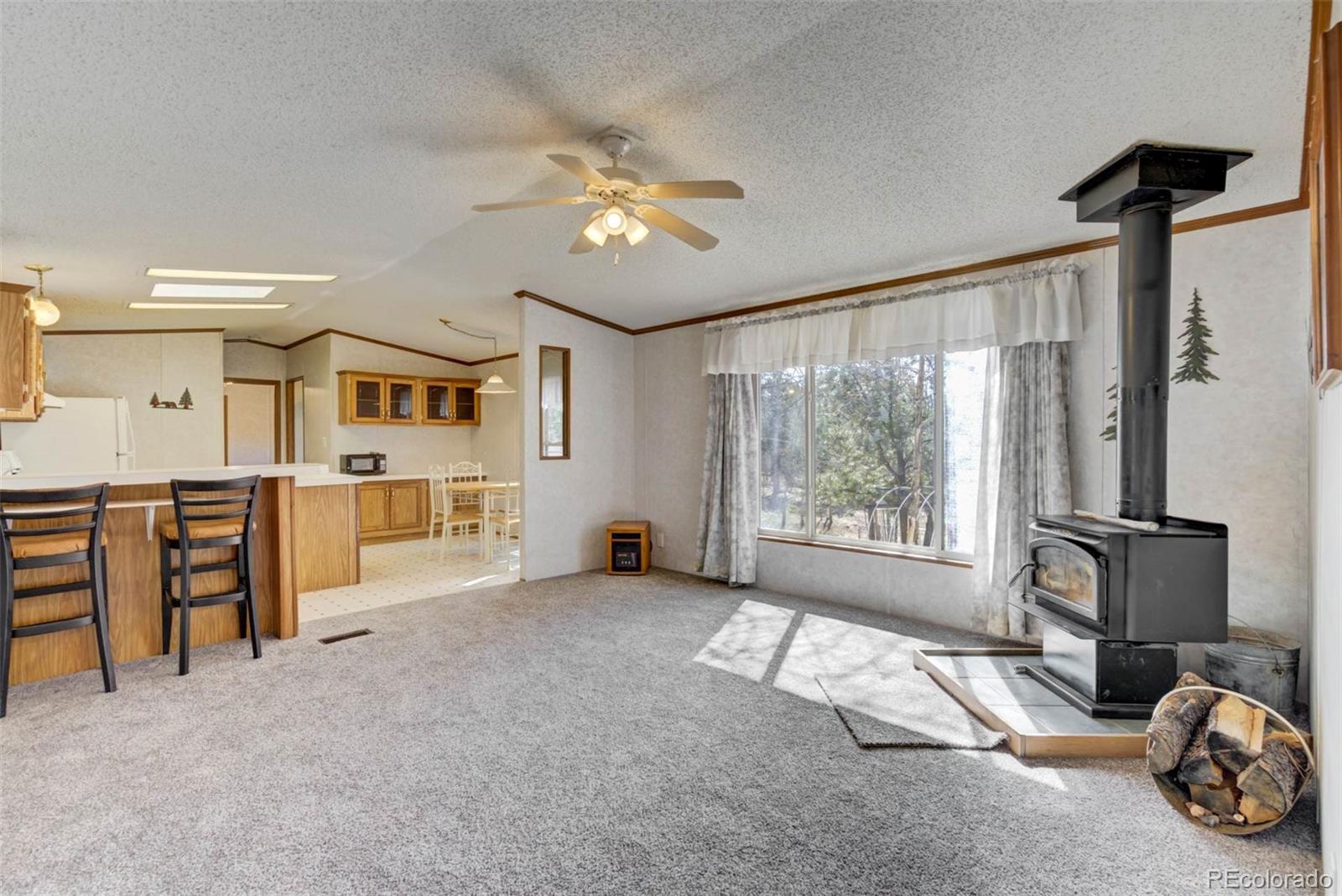MLS Image #7 for 1360  kiowa road,florissant, Colorado