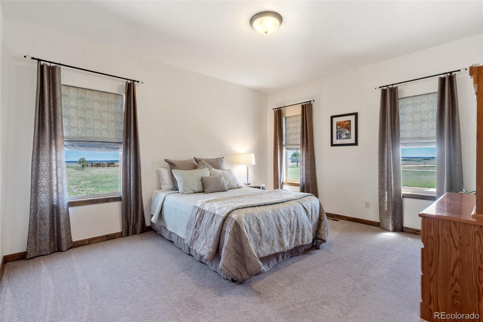 MLS Image #29 for 4908  silver nell drive,colorado springs, Colorado