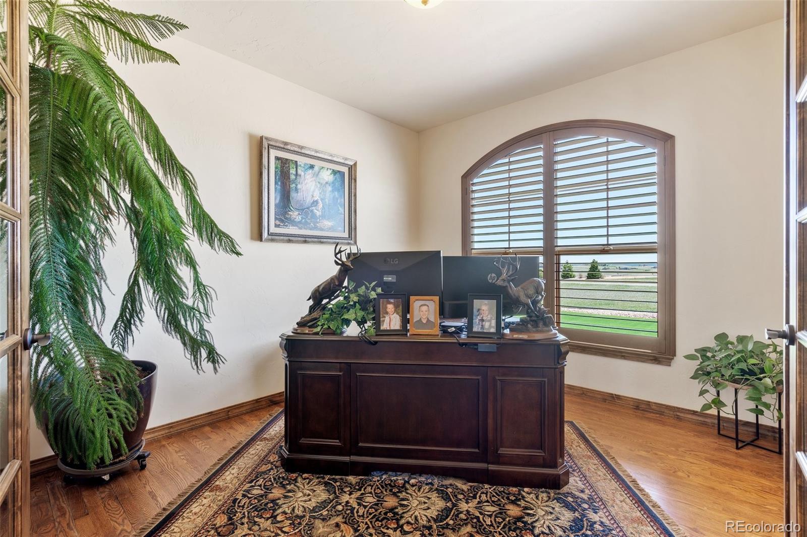 MLS Image #4 for 4908  silver nell drive,colorado springs, Colorado