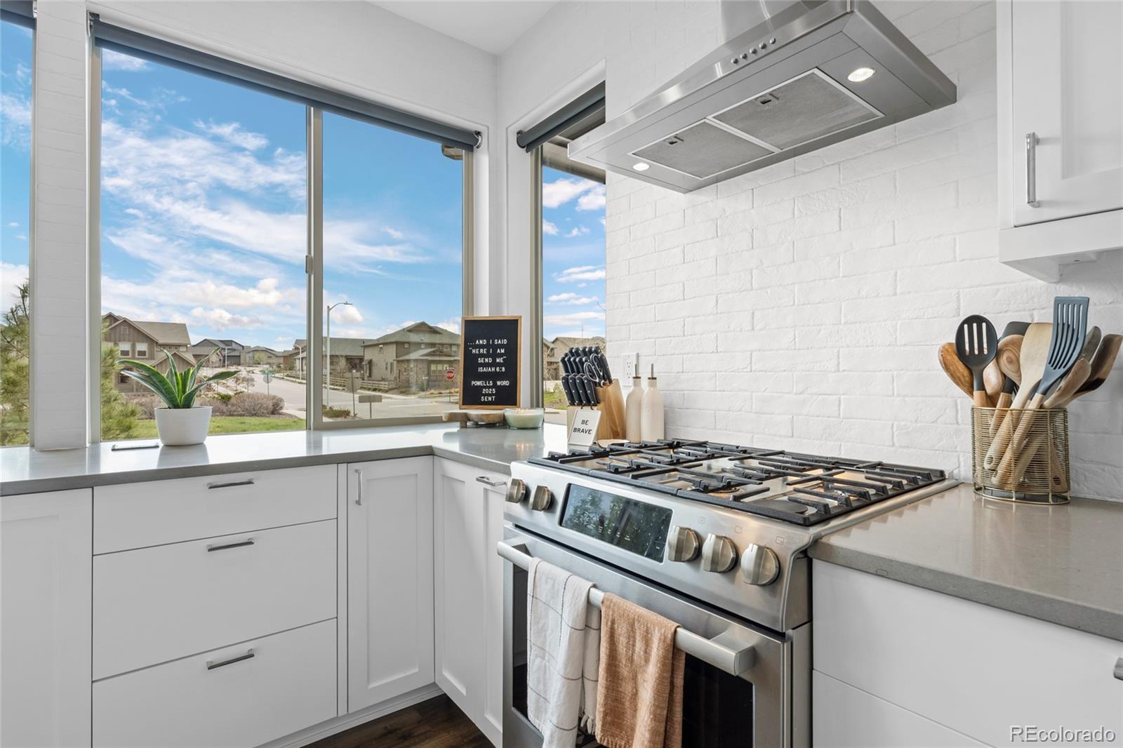 MLS Image #13 for 9741  taylor river circle,littleton, Colorado