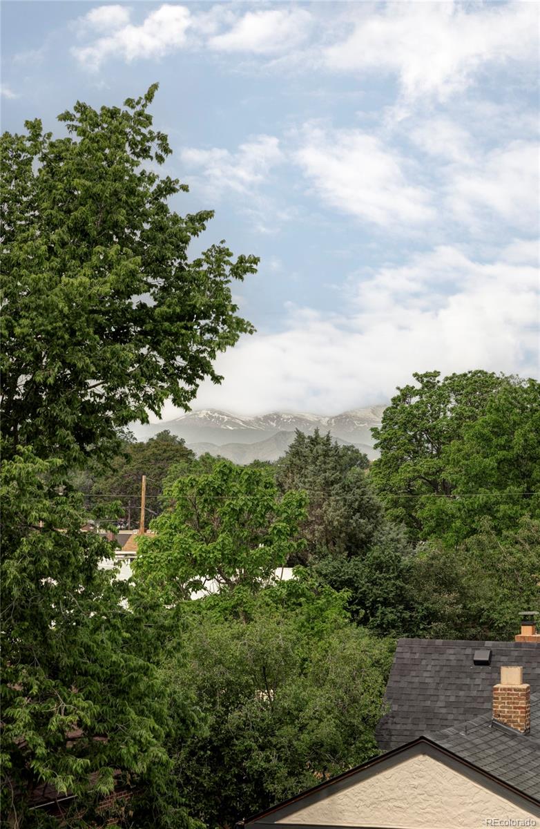 MLS Image #26 for 1543  glencoe street,denver, Colorado