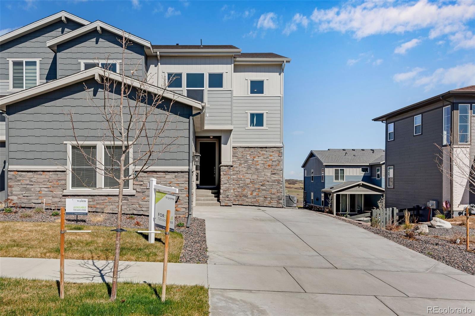 MLS Image #2 for 6863  oak canyon circle,castle pines, Colorado
