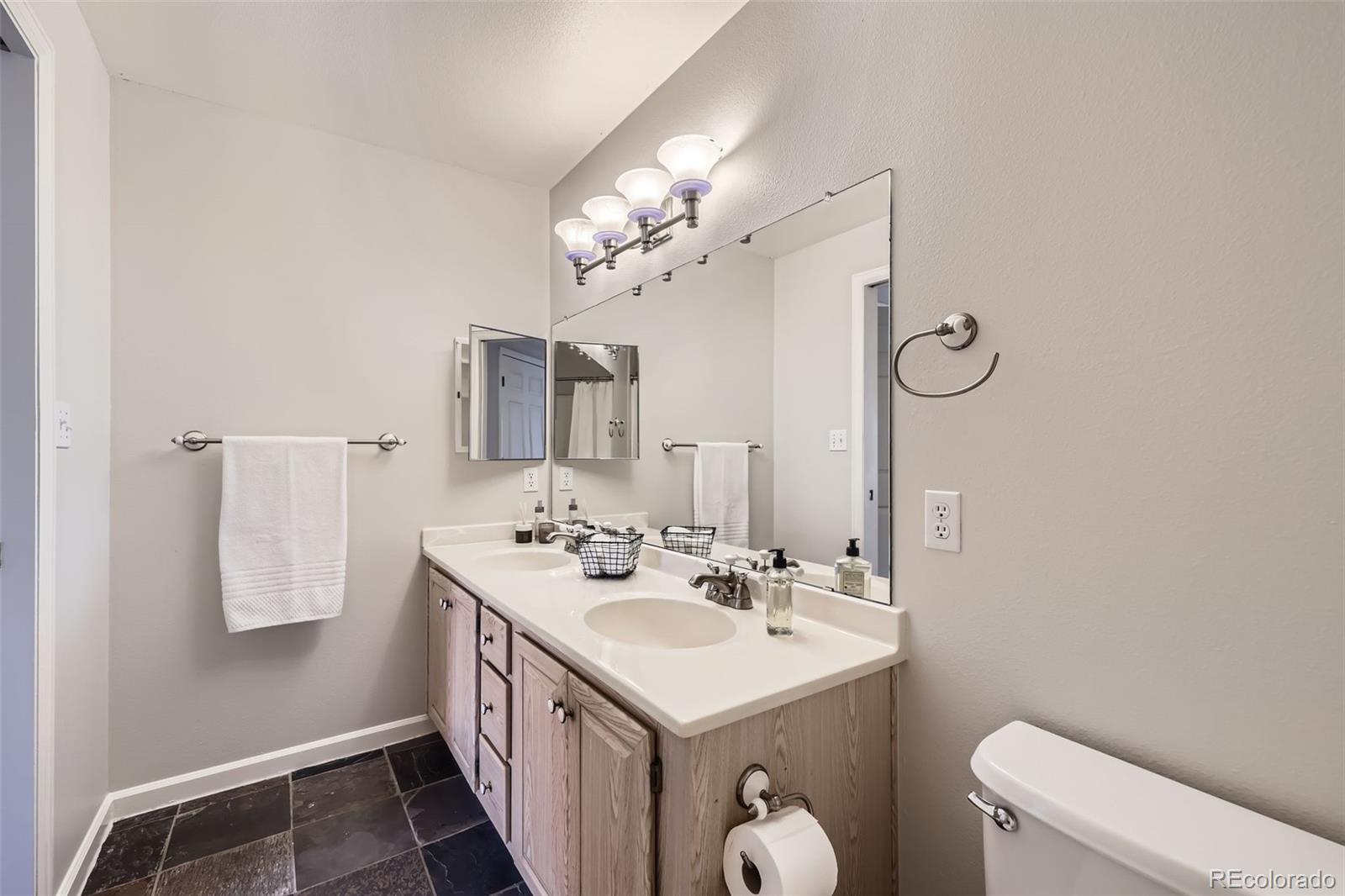 MLS Image #10 for 3727  cactus creek court,highlands ranch, Colorado
