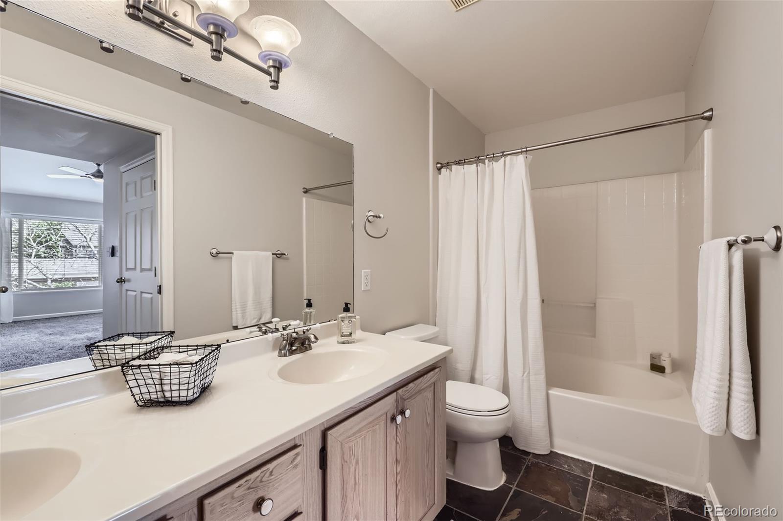 MLS Image #9 for 3727  cactus creek court,highlands ranch, Colorado