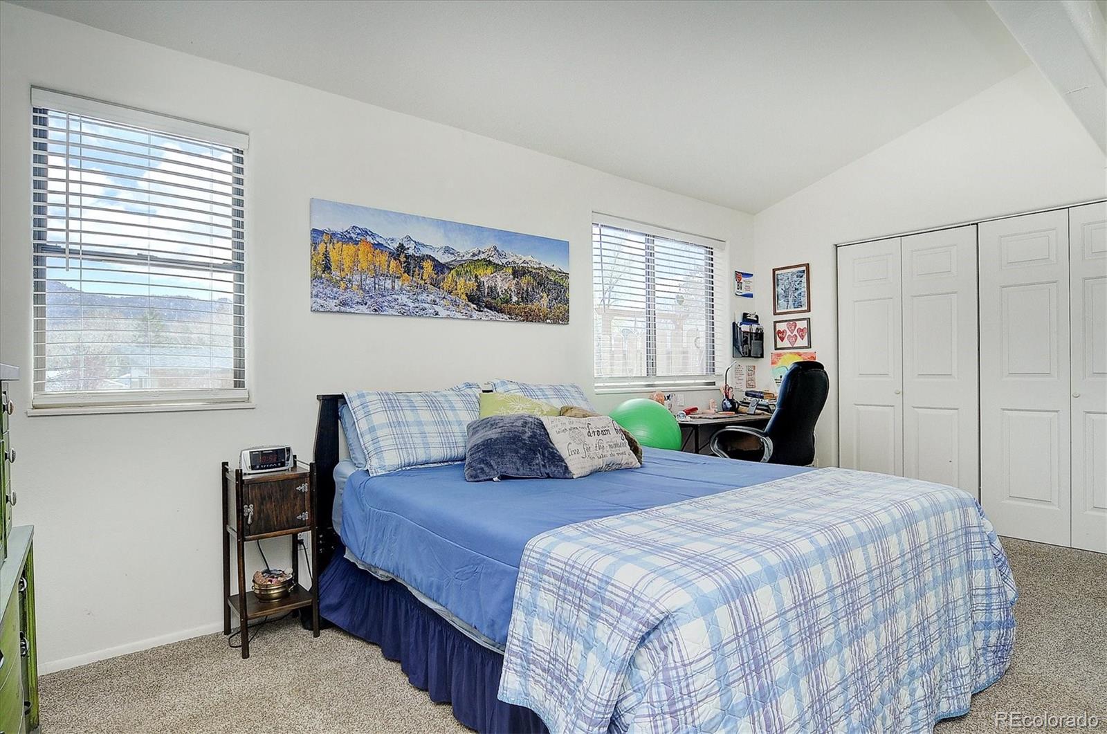 MLS Image #13 for 115 & 117 n sangre de cristo avenue,buena vista, Colorado
