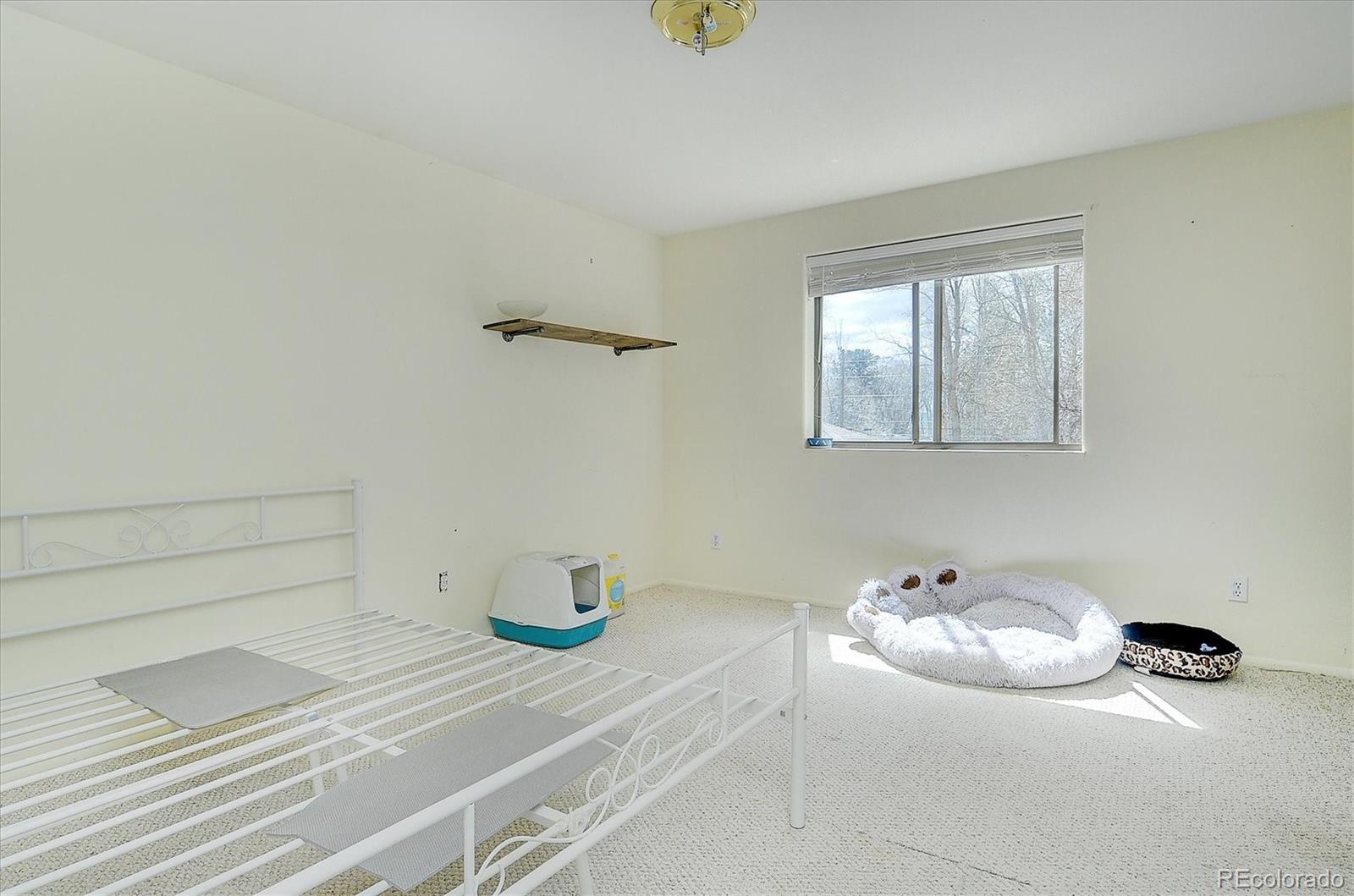 MLS Image #39 for 115 & 117 n sangre de cristo avenue,buena vista, Colorado