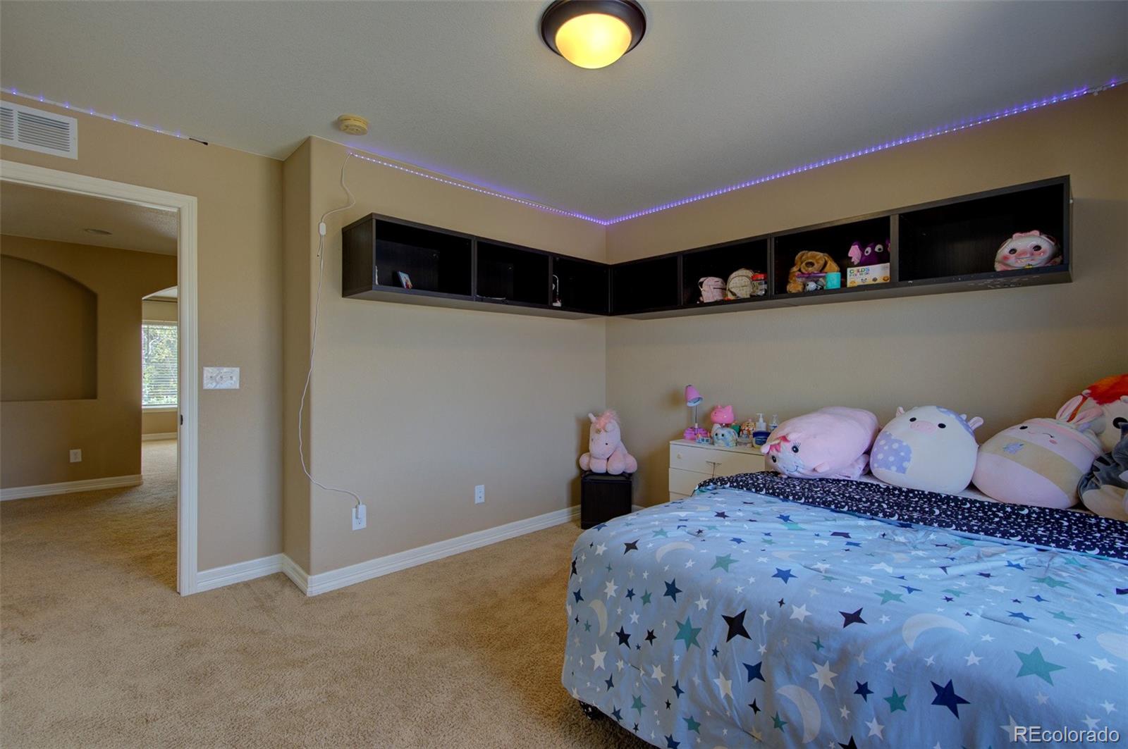 MLS Image #36 for 25994 e peakview place,aurora, Colorado