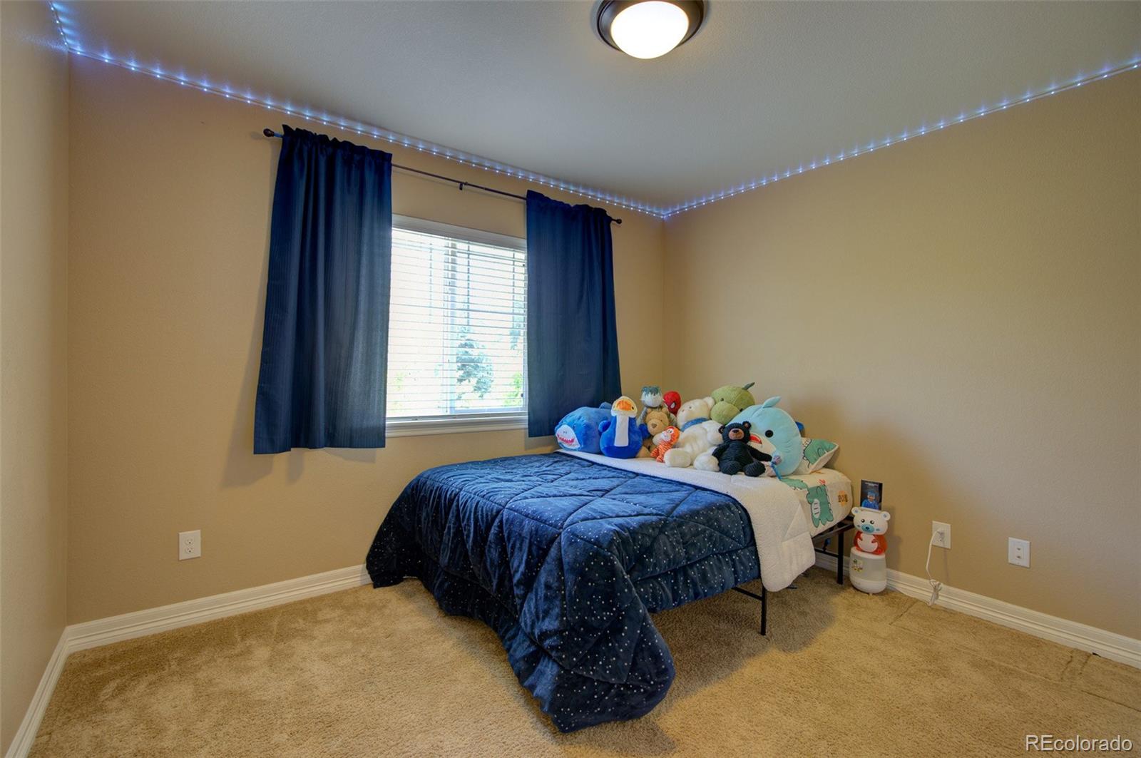 MLS Image #38 for 25994 e peakview place,aurora, Colorado