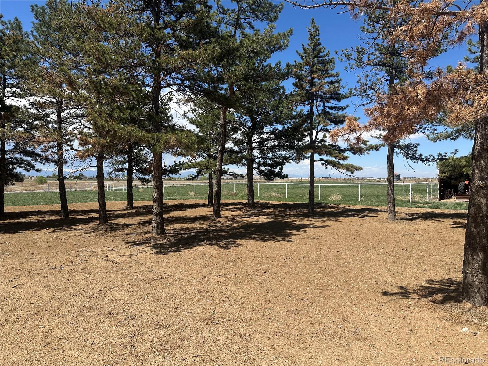 MLS Image #7 for 1685 e 160th avenue,broomfield, Colorado