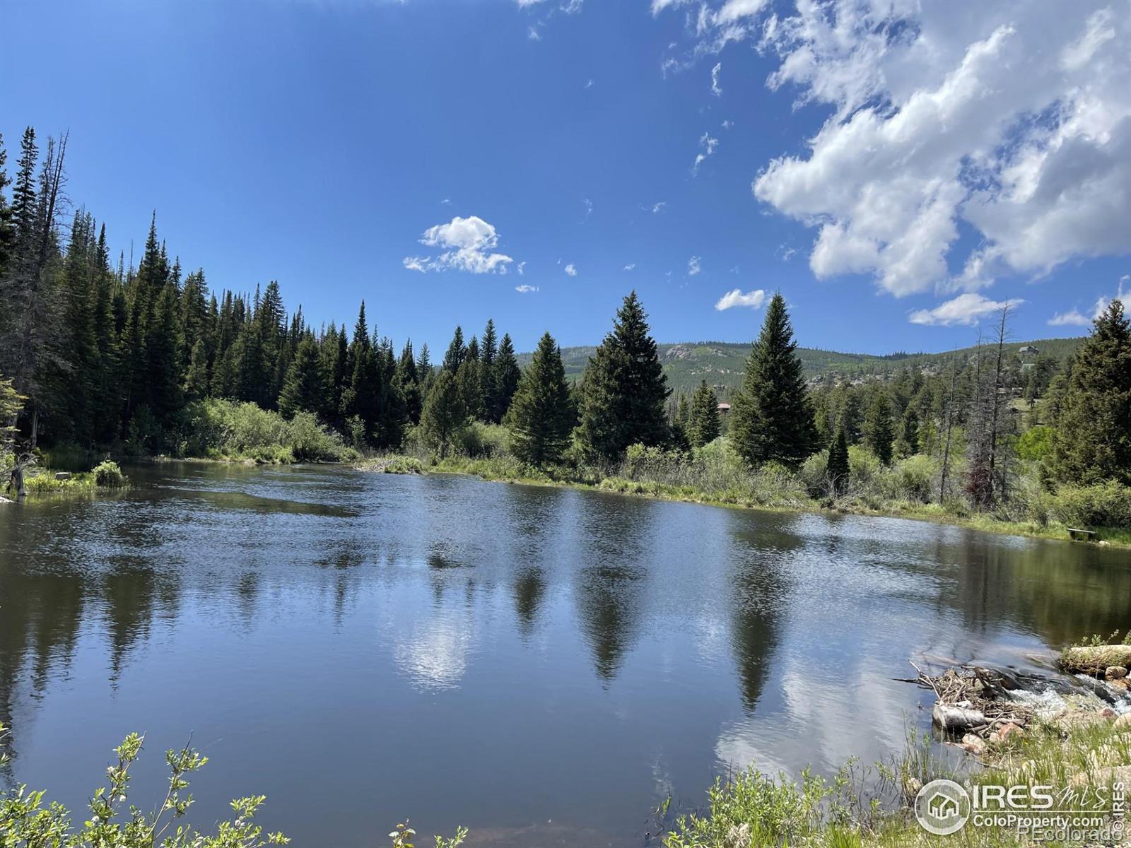 MLS Image #35 for 2292  ottawa way,red feather lakes, Colorado