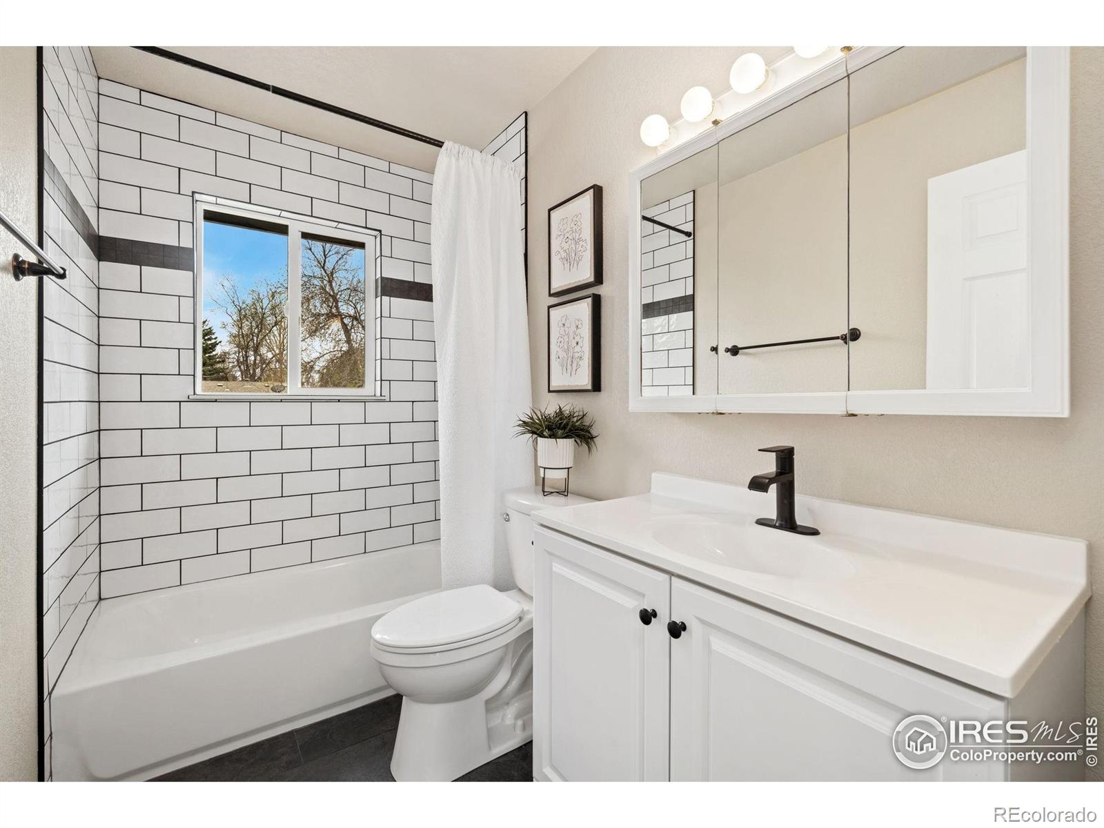 MLS Image #7 for 613  dartmouth trail,fort collins, Colorado