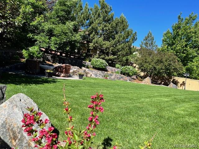 MLS Image #43 for    ,, Colorado