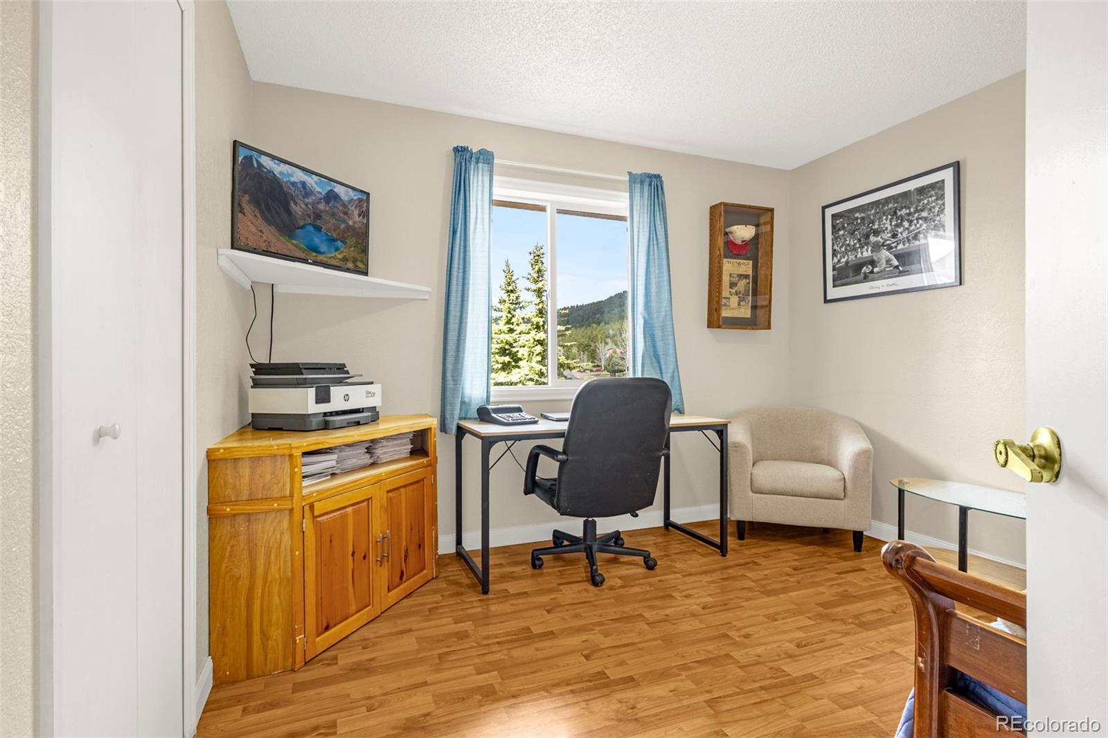 MLS Image #16 for 920  forest edge road,woodland park, Colorado