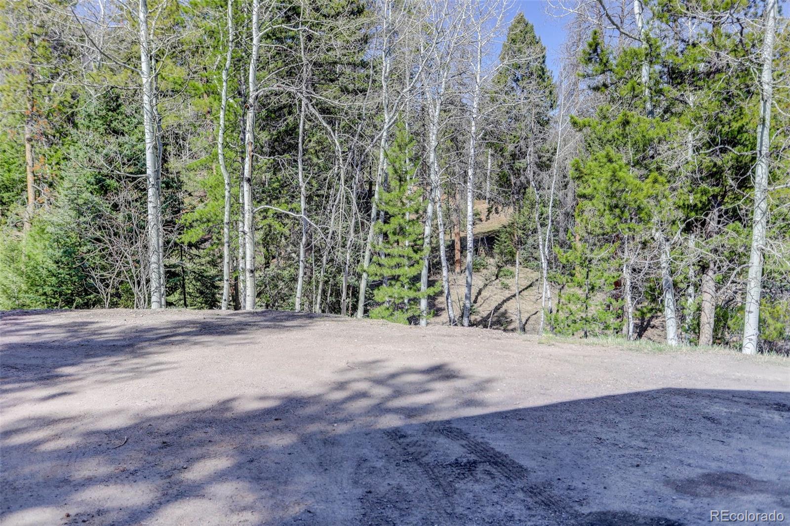 MLS Image #31 for 12229  circle drive,conifer, Colorado