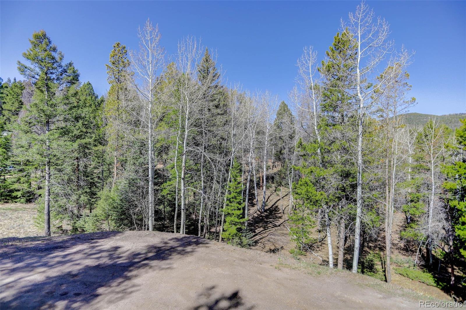 MLS Image #34 for 12229  circle drive,conifer, Colorado