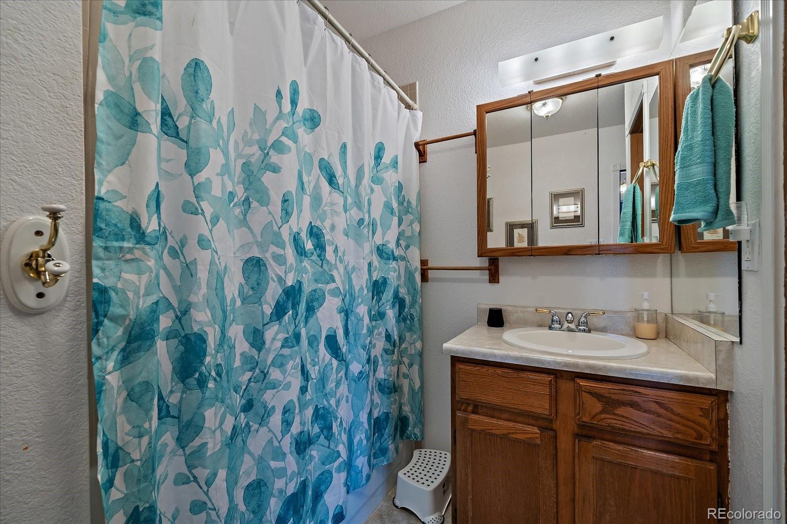 MLS Image #10 for 18902 e 17th avenue,aurora, Colorado