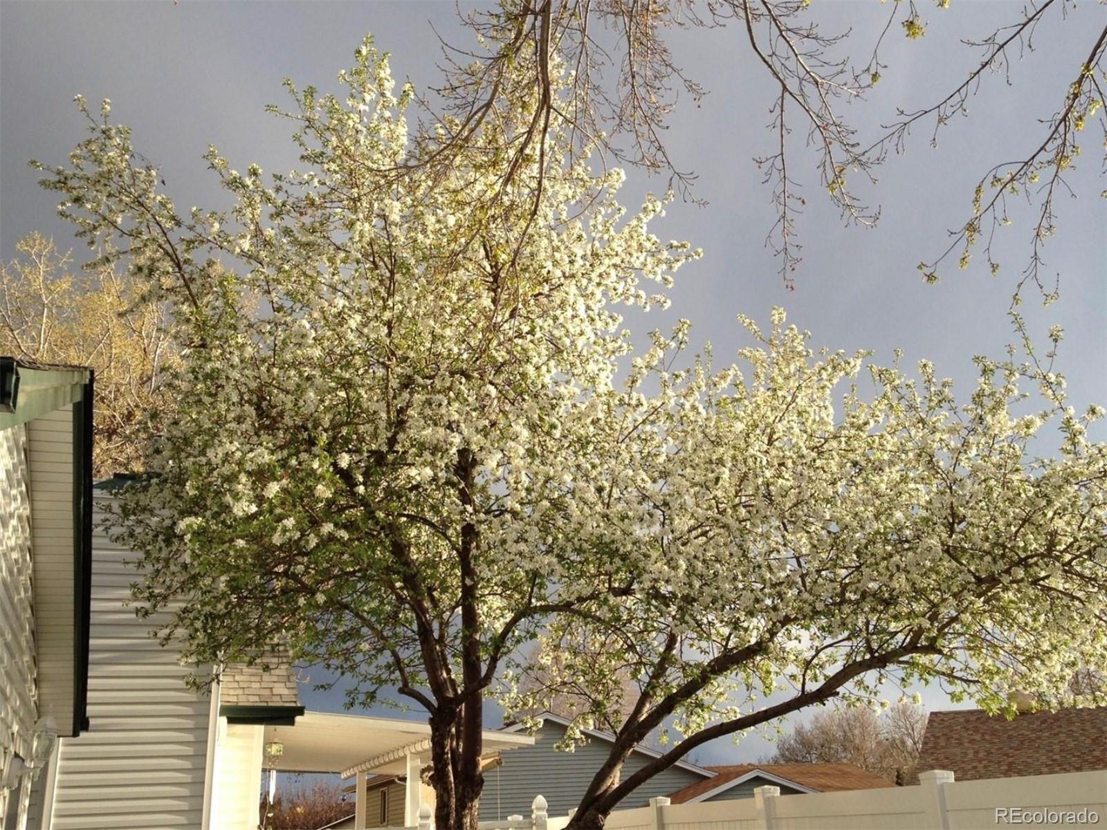 MLS Image #20 for 18902 e 17th avenue,aurora, Colorado