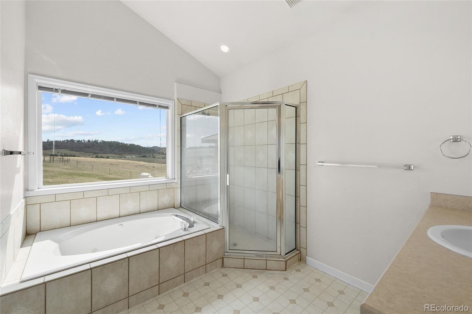 MLS Image #18 for 12747  bestview drive,larkspur, Colorado