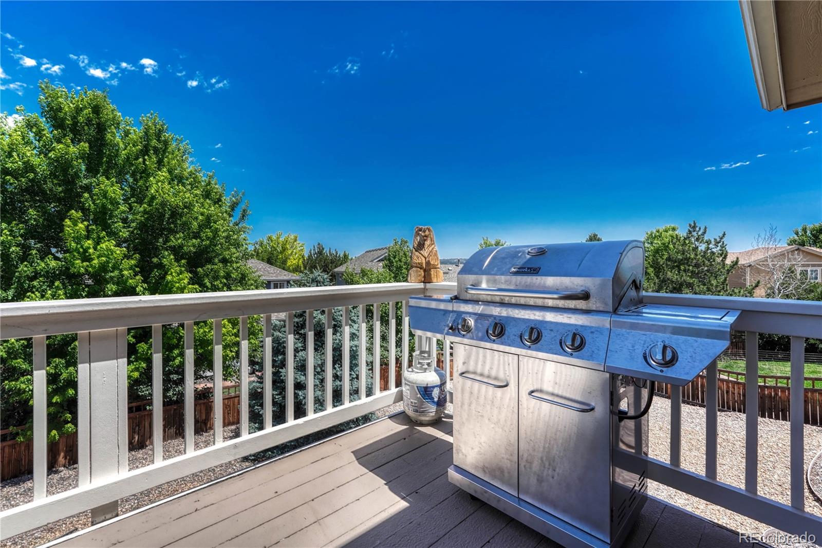 MLS Image #30 for 4385  oakes mill court,castle rock, Colorado