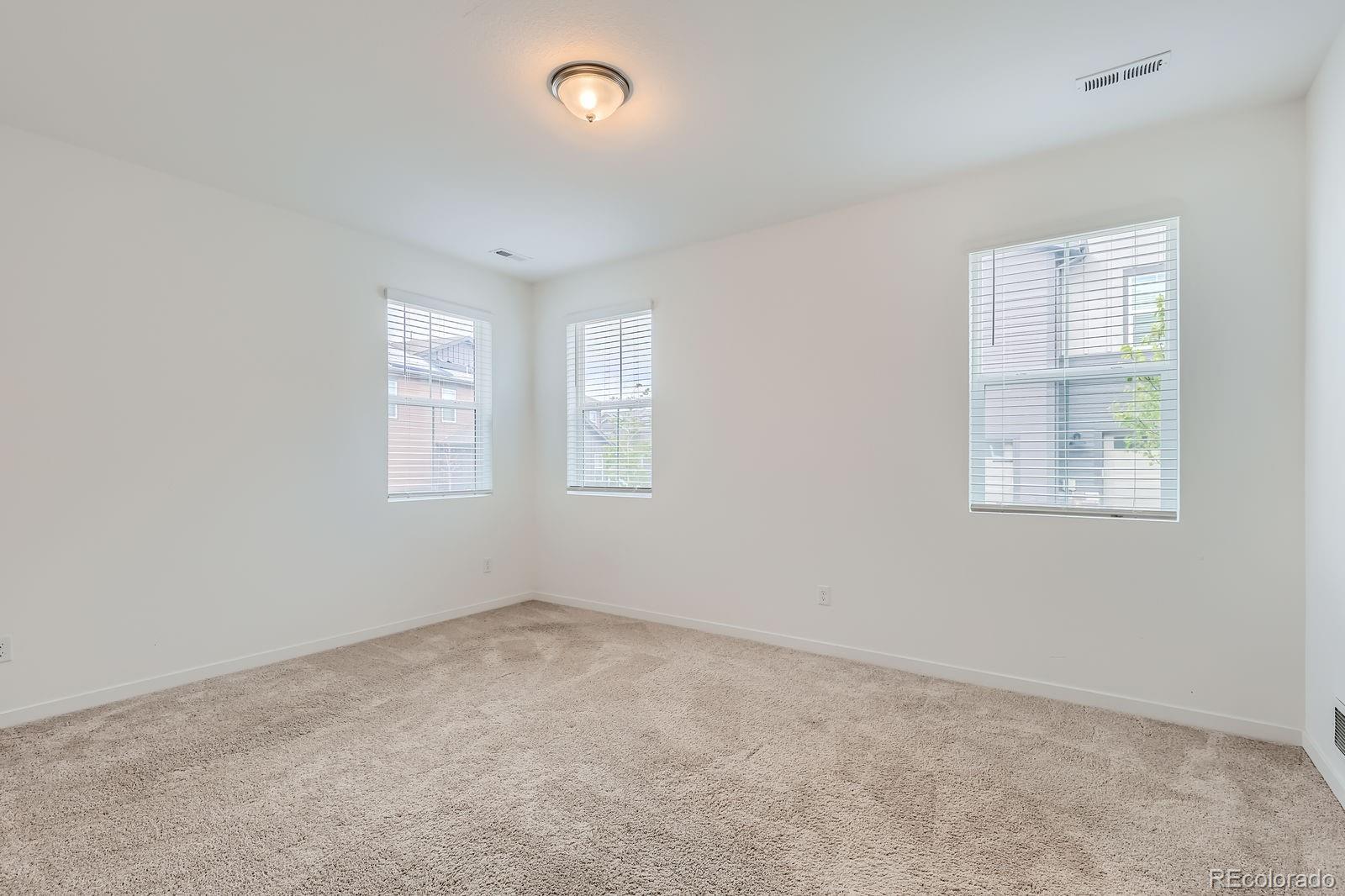 MLS Image #12 for 8433  mount kataka loop ,littleton, Colorado